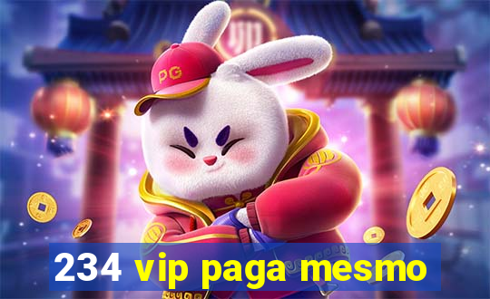 234 vip paga mesmo